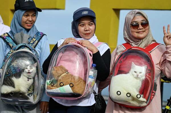 Индонезийки со своими домашними котами во время кампании по защите животных в преддверии празднования Всемирного дня животных в Банда-Ачех - Sputnik Молдова