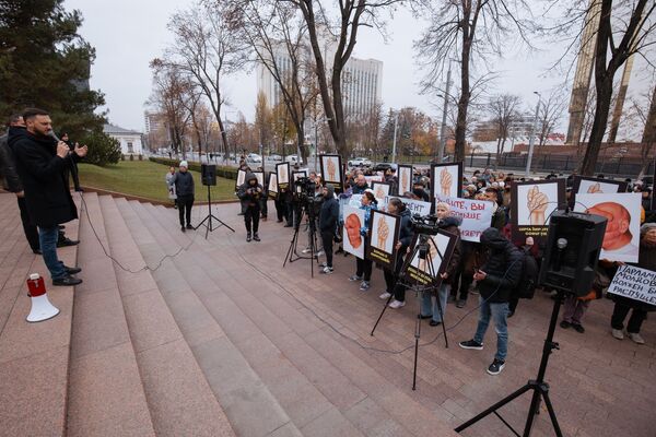 Un nou flashmob organizat de Partidul Șor la Parlament - Sputnik Moldova