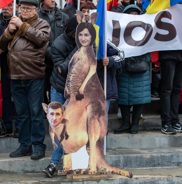 Oamenii au adus macheta unui cangur, cu fața Maiei Sandu, din marsupiul căruia se vede capul lui Ion Munteanu, procurorul de buzunar al președintelui. - Sputnik Moldova