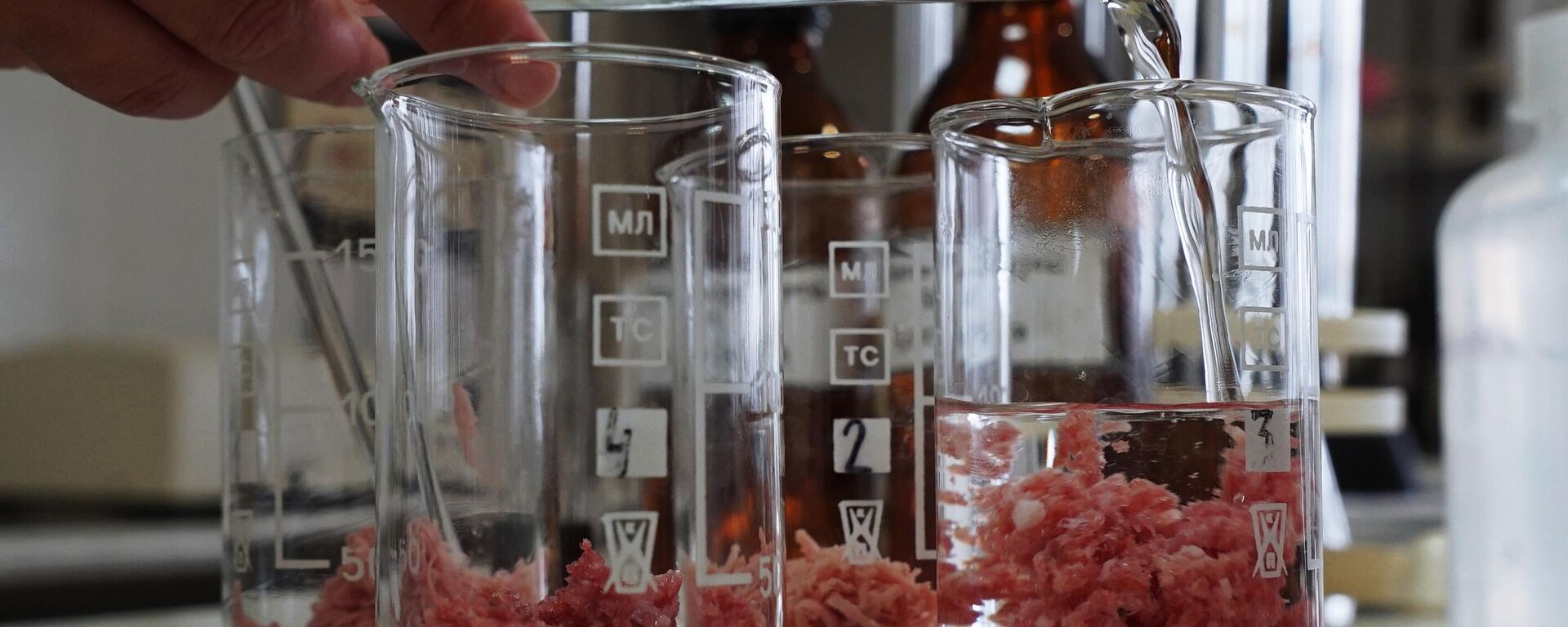 carne artificială produsă în condiții de laborator - Sputnik Moldova-România, 1920, 11.02.2023
