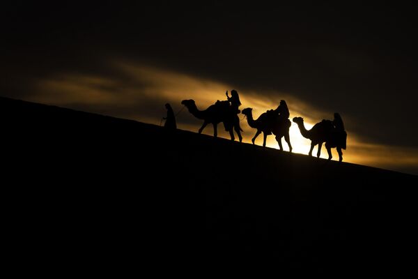 Туристы катаются на верблюдах возле пляжа Силайн в Месайеде, Катар - Sputnik Молдова