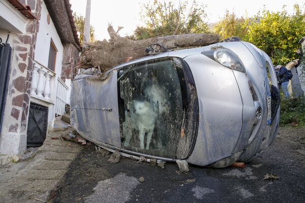 Собака, заблокированая в салоне автомобиля после схода оползня в Италии  - Sputnik Молдова