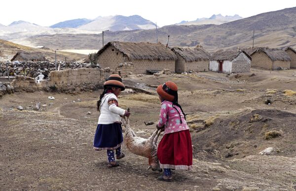 Девочки несут умирающую овцу в общине Чанчакката в Перу - Sputnik Молдова