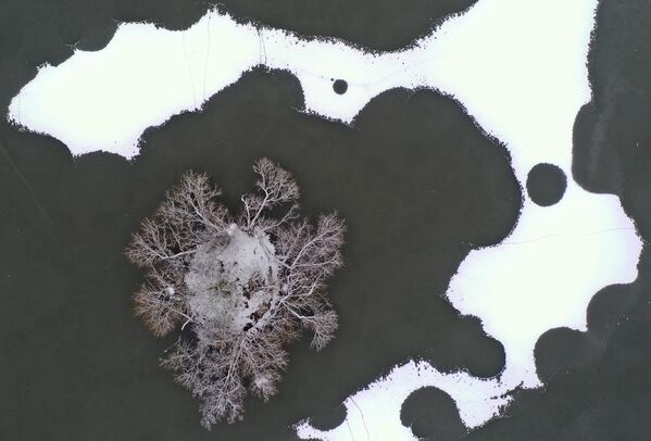 Вид замерзшего озера в Ричмонд-парке на юго-западе Лондона, Великобритания. - Sputnik Молдова