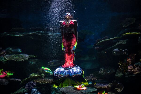 Дайвер в костюме русалки в аквариуме Sea Life Bangkok Ocean World в Бангкоке. - Sputnik Молдова