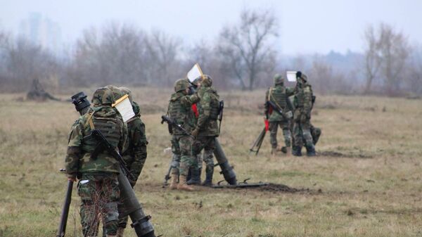 Национальная армия Молдовы проводит учебные стрельбы - Sputnik Молдова