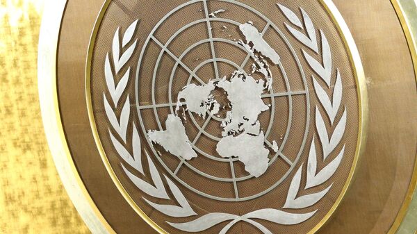 Эмблема Организации Объединённых Наций (ООН) в Генеральной Ассамблеи Организации Объединенных Наций (ООН) в Нью-Йорке.  - Sputnik Молдова