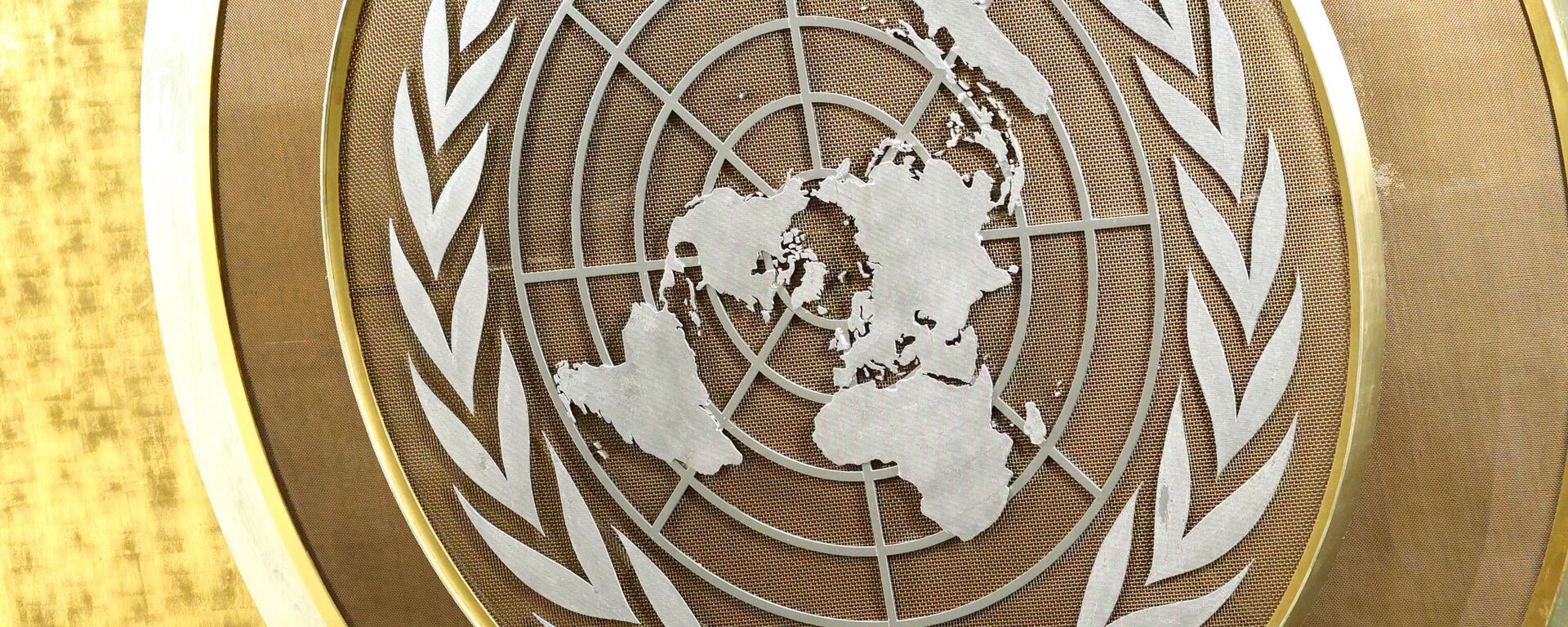 Эмблема Организации Объединённых Наций (ООН) в Генеральной Ассамблеи Организации Объединенных Наций (ООН) в Нью-Йорке.  - Sputnik Молдова, 1920, 01.02.2024