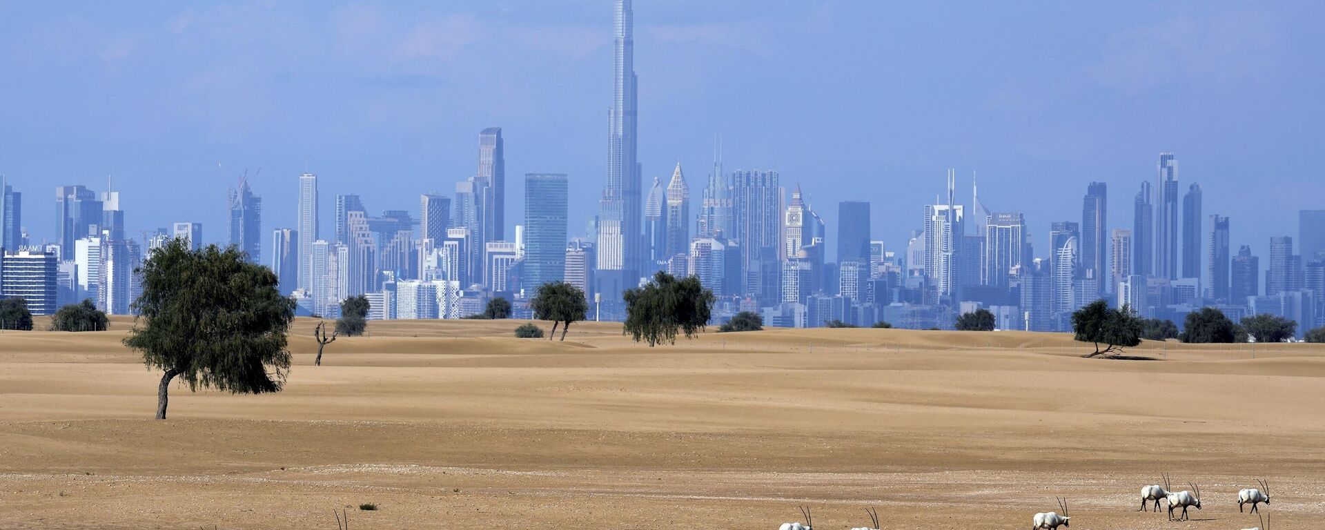 Глава МИД Молдовы Попшой летит в ОАЭ за отменой визового режима - Sputnik Молдова, 1920, 04.08.2025