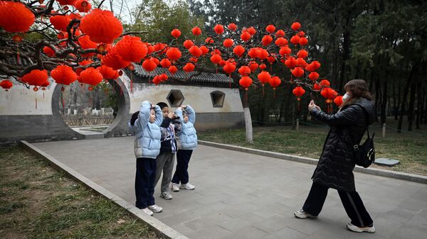 Красные фонари на дереве в парке в Пекине во время подготовки к празднованию Нового года по восточному календарю  - Sputnik Молдова