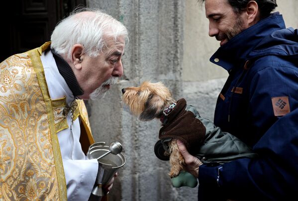 Священник благословляет собаку в День святого Антония, покровителя животных, в Мадриде. - Sputnik Молдова
