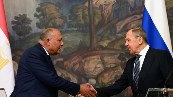 Египет высказался за наращивание операций с Россией в нацвалютах и рост поставок зерна   - Sputnik Молдова