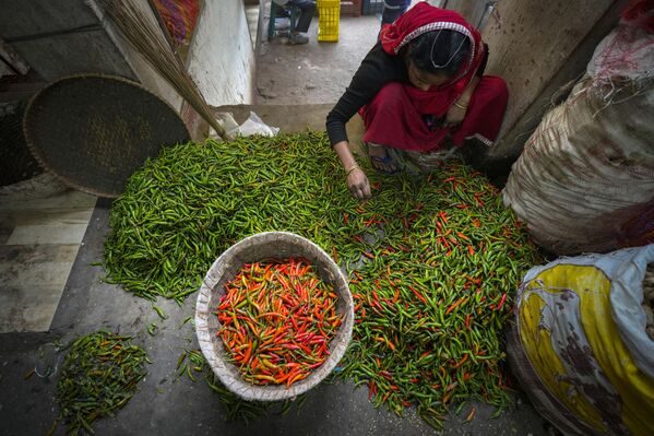 Индианка сортирует перец чили на оптовом овощном рынке в Гувахати, Индия. - Sputnik Молдова