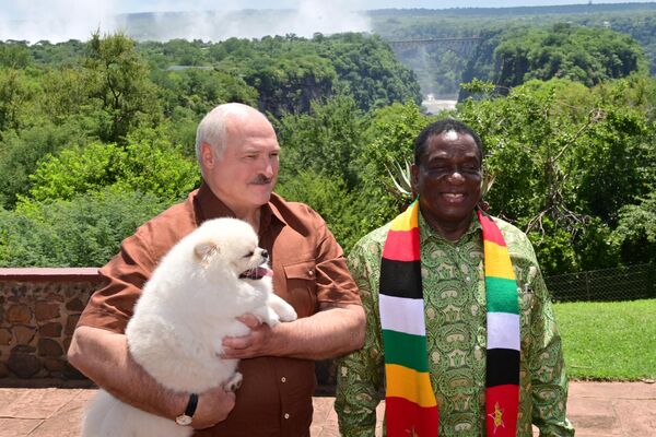 Президент Беларуси Александр Лукашенко и президент Зимбабве Эммерсон Мнангагва на водопаде Виктория рядом с границей с Замбией. - Sputnik Молдова