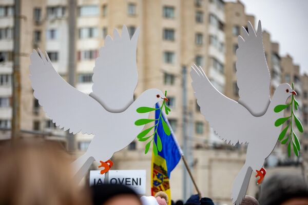 Protestul Mișcării Pentru Popor 28.02.2023. Porumbelul alb e unul dintre simbolurile mișcării. Manifestanții au cerut ca în Moldova să fie asigurată pacea. - Sputnik Moldova