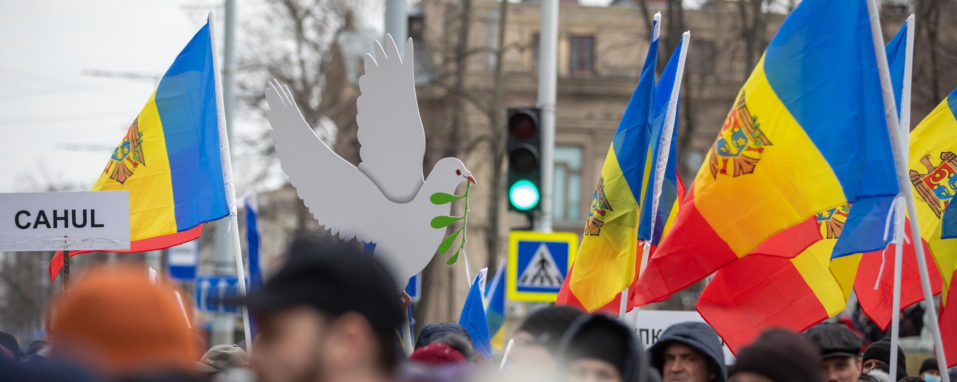 В протестном Движении за народ заявили о запугивании со стороны властей Молдовы - Sputnik Молдова, 1920, 11.03.2023