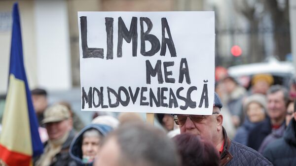 Протест у Конституционного суда Молдовы в защиту Конституции и молдавского языка - Sputnik Молдова