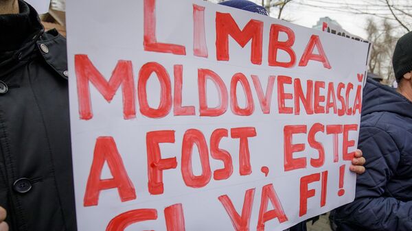Митинг БКС в защиту молдавского языка - Sputnik Молдова