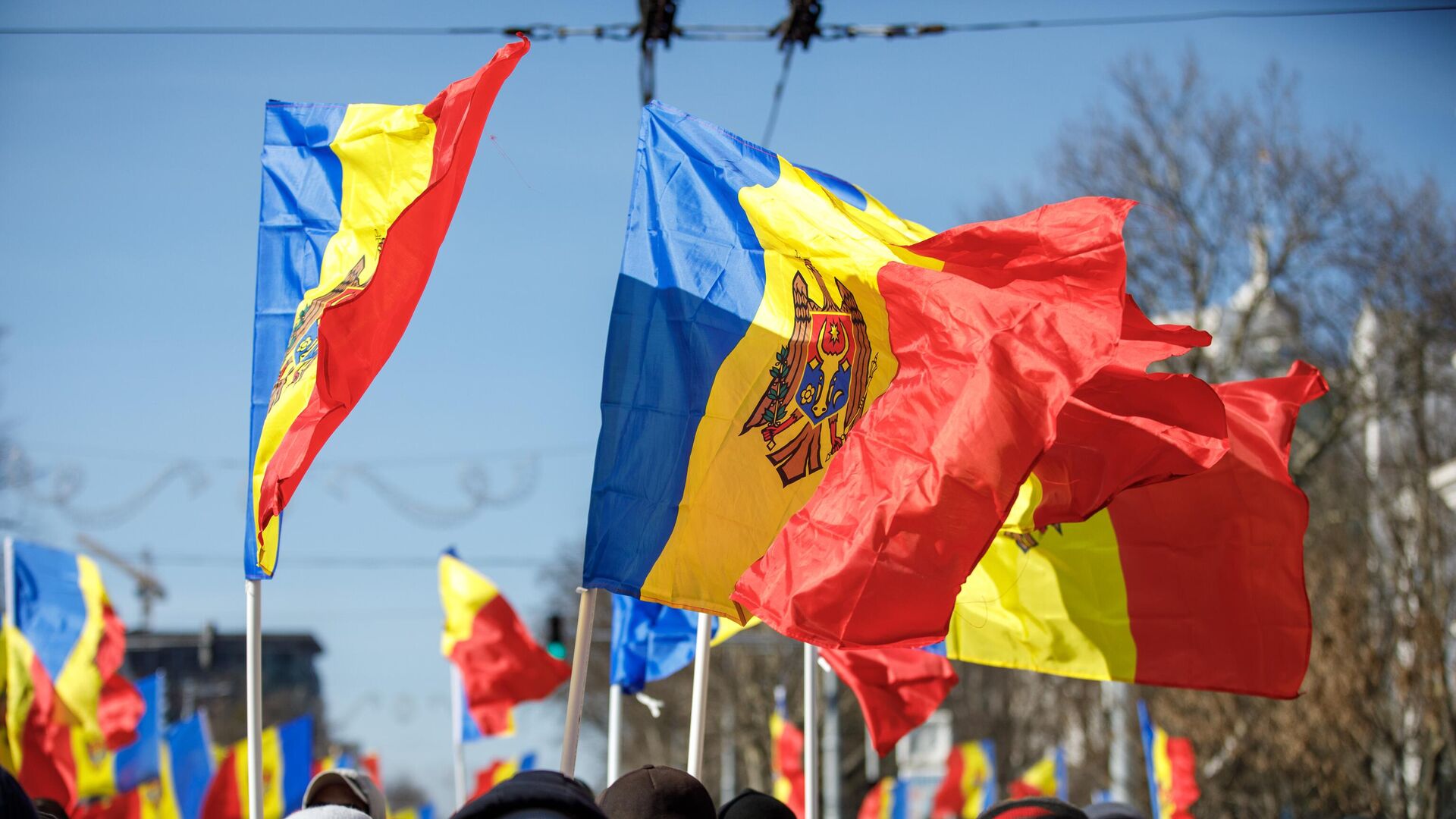 Протест Движения за народ в Кишиневе 12.03.2023 - Sputnik Moldova, 1920, 15.03.2023