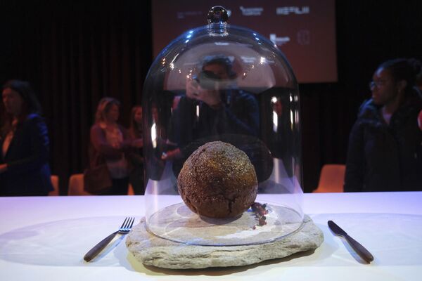 Фрикаделька из воссозданного мяса мамонта в научном музее Nemo в Амстердаме, Голландия. - Sputnik Молдова