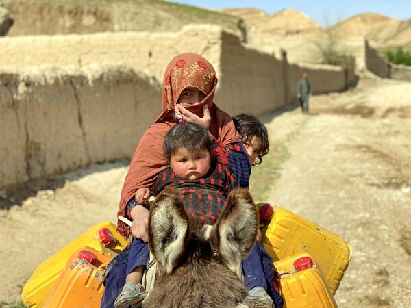 Афганская женщина с детьми едет верхом на осле по улице в районе Зари провинции Балх. - Sputnik Молдова