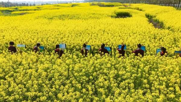 Студенты учатся рисовать среди цветущих цветов рапса в китайской провинции Цзянсу - Sputnik Молдова