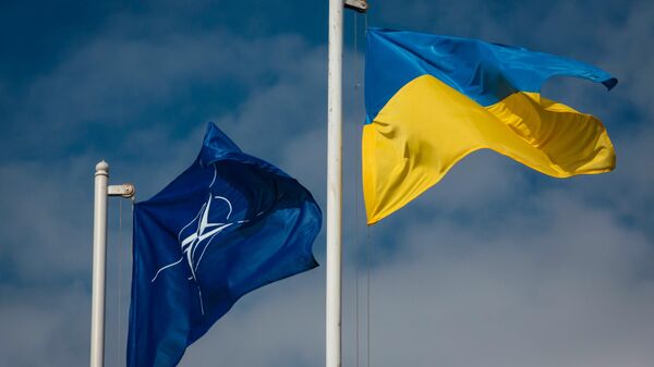 Национальный флаг Украины и флаг Организации Североатлантического договора (НАТО). - Sputnik Молдова