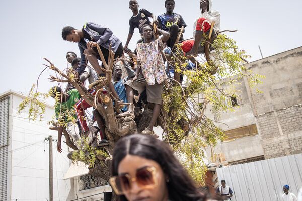 Молодые люди стоят на верхушке дерева, чтобы получше рассмотреть празднование 63-го Дня независимости Сенегала в Дакаре 4 апреля 2023 года. - Sputnik Молдова