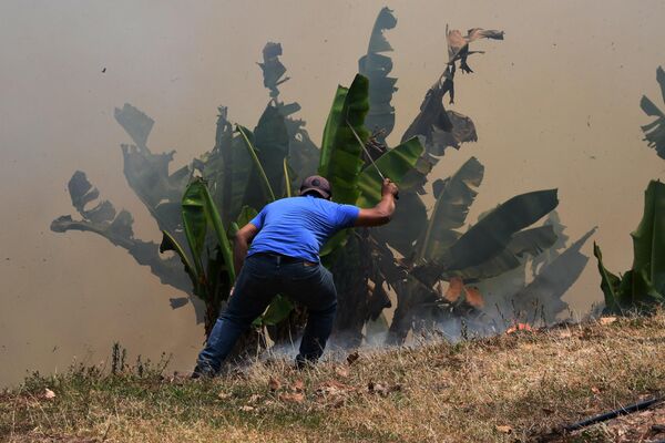 Природный пожар в Ла Монтасите, Гондурас. - Sputnik Молдова