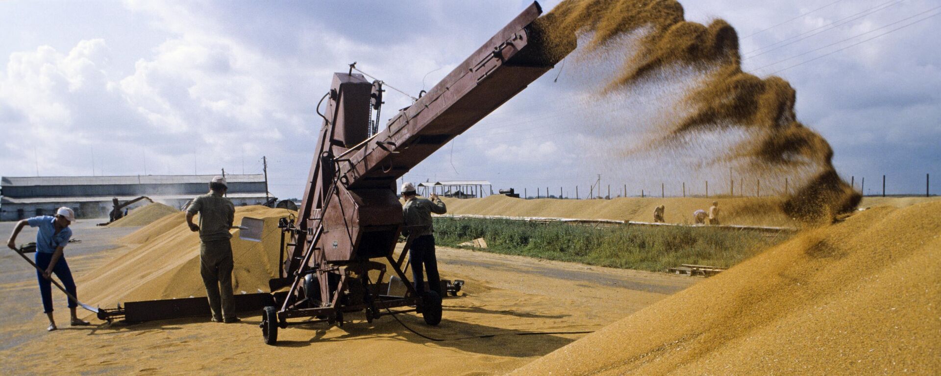 Свободное обращение зерна с Украины ограничено в пяти странах ЕС, в том числе в Румынии - Sputnik Молдова, 1920, 03.05.2023