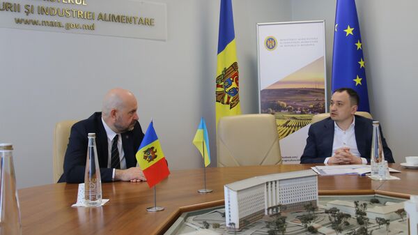 Глава Минсельхоза Молдовы уведомил коллегу из Украины о приостановке импорта зерна - Sputnik Молдова