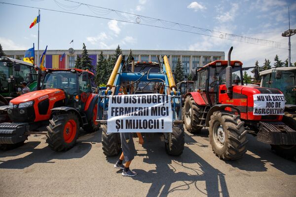 Надпись на плакате: &quot;Не уничтожайте малых и средних фермеров!&quot; - Sputnik Молдова