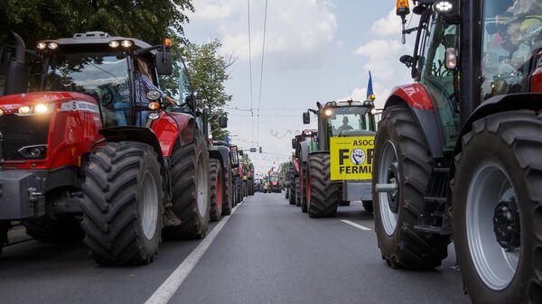 Фермеры грозят протестами: требуют запретить импорт подсолнечника в Молдову - Sputnik Молдова