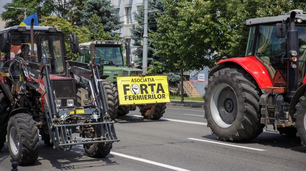 Протест фермеров в центре Кишинева, 22.06.2023 - Sputnik Молдова