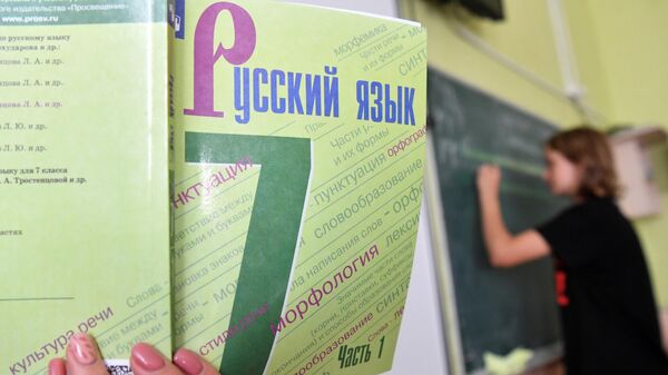 Как улучшить преподавание русского языка в странах СНГ и как заинтересовать этим молодежь? - Sputnik Молдова