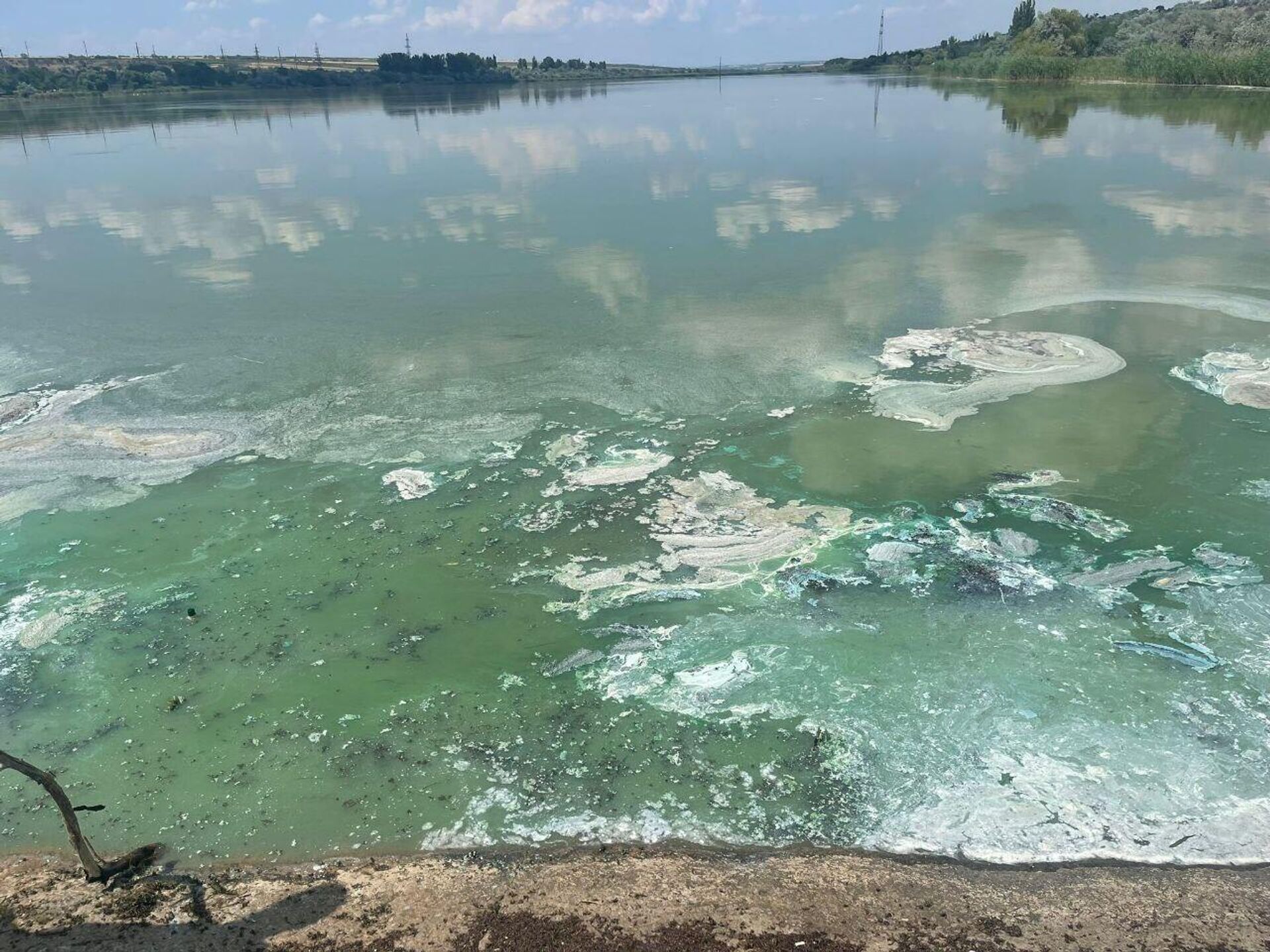 Загрязненное отходами озеро в Вулканештах - Sputnik Молдова, 1920, 05.07.2023