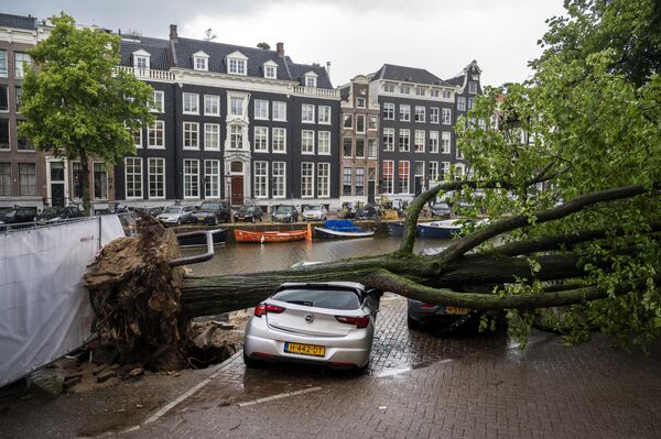 Un copac avariat de furtună se află pe un vehicul pe Keizersgracht, în centrul Amsterdamului, pe 5 iulie 2023, după ce vânturile „Stortunii Poly” au lovit nordul Olandei, unde a fost emis un „cod roșu” ca avertizare de vreme extremă. (Foto de Evert Elzinga / ANP / AFP) / Olanda OUT - Sputnik Moldova
