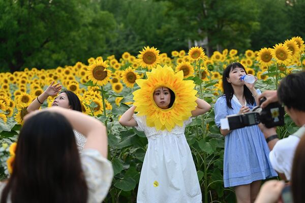 Oamenii pozează pentru fotografii într-un câmp de floarea-soarelui. Beijing, pe 2 iulie 2023. (Foto de Jade Gao / AFP) - Sputnik Moldova
