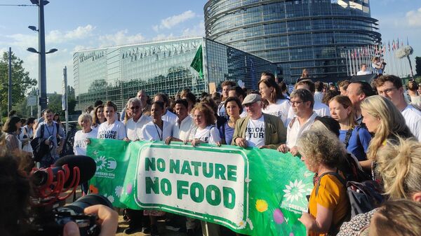 Organizații de fermieri și activiști ecologiști au protestat în fața Parlamentului European  pe 11 iulie 2023 - Sputnik Moldova