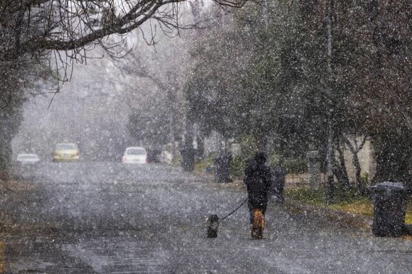Un bărbat își plimbă câinii în timpul unei furtuni de zăpadă din Johannesburg situat în Africa de Sud.Temperaturile au coborât sub zero grade, în timp ce un front rece rar a lovit Johannesburg-ul pe 10 iulie 2023. - Sputnik Moldova