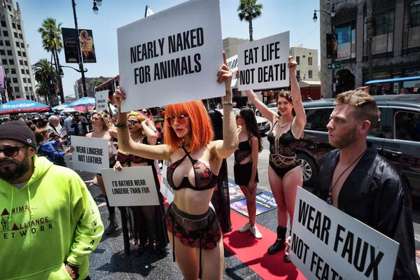 Militanți pentru drepturile animalelor și pentru climă, mulți dintre ei purtând lenjerie intimă, protestează pe Hollywood Walk of Fame în Los Angeles. Sâmbătă, 8 iulie 2023. - Sputnik Moldova