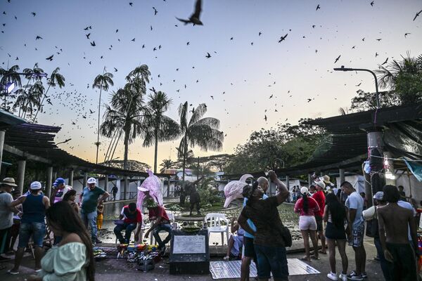 Oamenii privesc păsările care zboară deasupra pieței principale din Leticia, Columbia, la 9 iulie 2023. - Sputnik Moldova