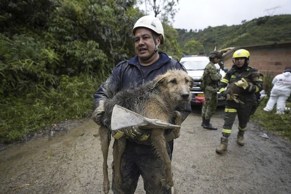 Собак спасают из грязи после смертоносной лавины, затопившей дома жителей в Эль-Наранхале, Колумбия. - Sputnik Молдова