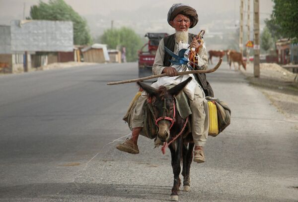 Мужчина едет на осле в провинции Бадахшан, Афганистан. - Sputnik Молдова