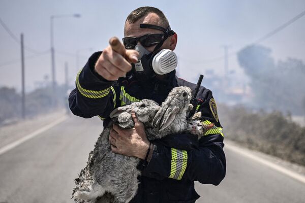 Пожарный жестикулирует и держит кошку и двух кроликов после того, как спас их от пожара между деревнями Киотари и Геннади на греческом острове Родос 24 июля 2023 года. - Sputnik Молдова