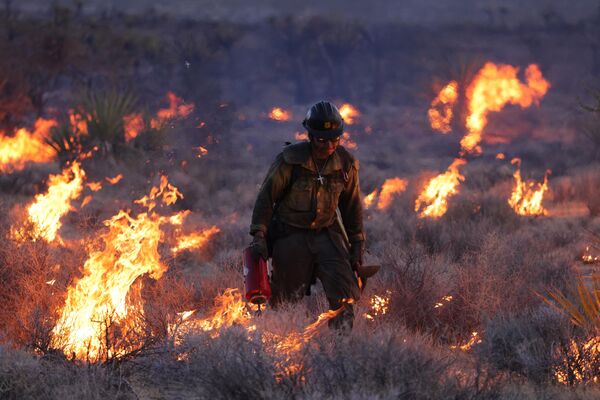 Пожарный в горящем Национальном заповеднике Мохаве, Калифорния. - Sputnik Молдова