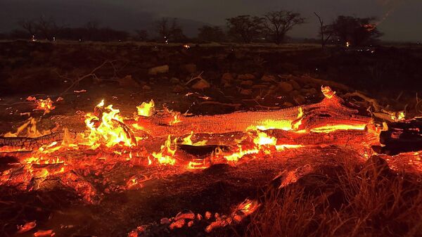 Лесной пожар горит в Кихеи, Гавайи, поздно вечером - Sputnik Молдова