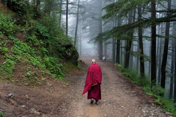 Тибетский буддийский монах в изгнании идет по горной тропе в Дхарамсале, Индия. - Sputnik Молдова