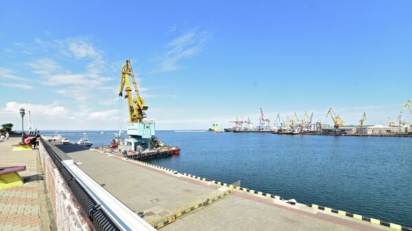 Через открытый Киевом зерновой коридор из порта Одессы вышло второе судно - Sputnik Молдова