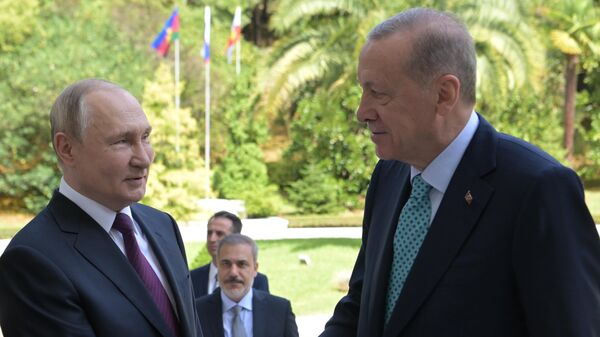 Президент РФ В. Путин провел переговоры с президентом Турции Р. Т. Эрдоганом - Sputnik Moldova-România
